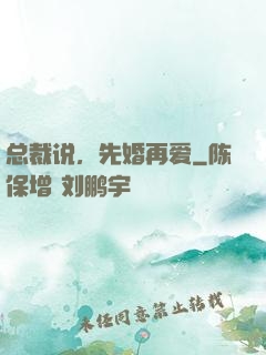 总裁说，先婚再爱